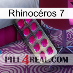 Rhinocéros 7 09